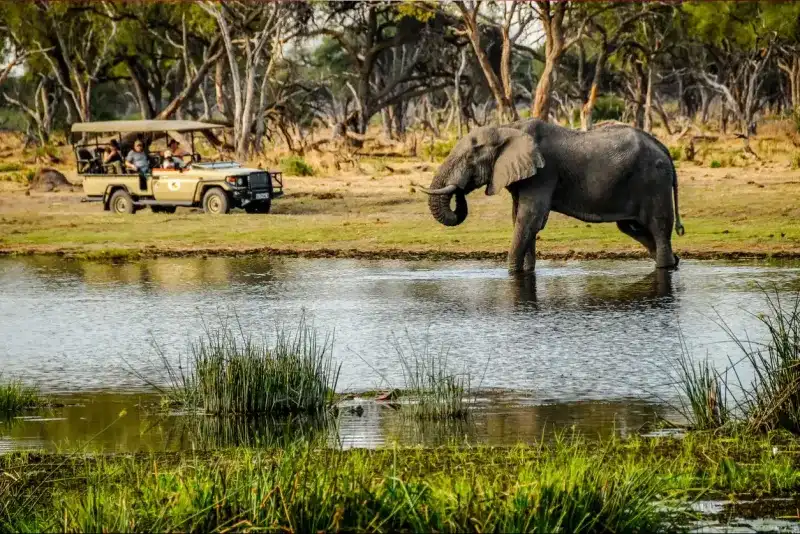 Namibia & Botswana Safari: Dunes to Delta